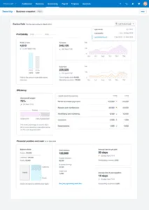 Xero Snapshot