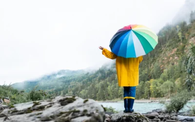 How Cash Flow Forecasting Software Can Help Your Creative Business